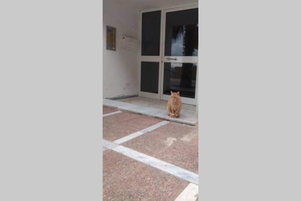 Captain'S Home Loutraki Екстериор снимка
